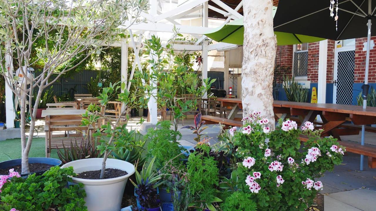 Hostel Geraldton Backpackers Zewnętrze zdjęcie